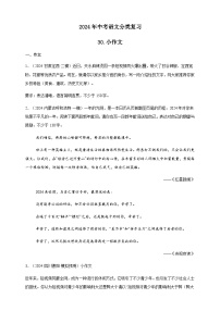 【2024中考真题分类速练】30.小作文试卷（含答案解析）全国版
