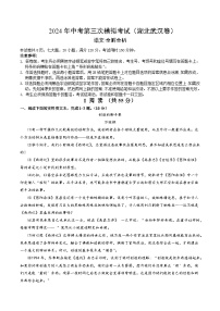 2024年中考第三次模拟考试题：语文（湖北武汉卷）（解析版）