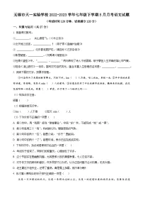 江苏省苏州市无锡市天一实验学校2022-2023学年七年级下学期5月月考语文试题（含解析）