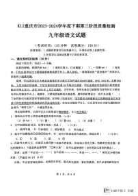 2024年重庆市市实验中学教育集团中考三模语文试题