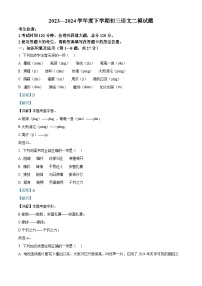 2024年黑龙江省齐齐哈尔市龙沙区中考二模语文试题（学生版+教师版）
