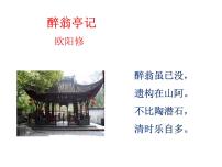 初中语文人教部编版九年级上册醉翁亭记说课课件ppt