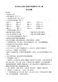 2024年黑龙江省齐齐哈尔市龙江县部分学校联考中考二模语文试题