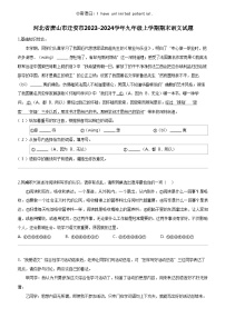 [语文]河北省唐山市迁安市2023-2024学年九年级上学期期末语文试题