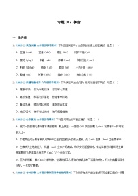 专题01：字音-2023-2024学年八年级上册语文期末专项热点必刷100题（含答案）
