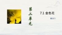 初中语文人教部编版（2024）七年级上册第二单元7* 散文诗二首金色花/泰戈尔课文ppt课件