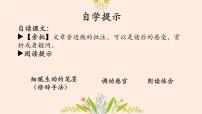 语文人教部编版（2024）3* 雨的四季/刘湛秋教课内容课件ppt