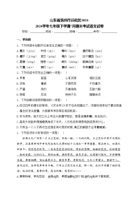 山东省滨州市沾化区2023-2024学年七年级下学期7月期末考试语文试卷(含答案)