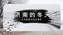 初中人教部编版（2024）2 济南的冬天/老舍授课课件ppt