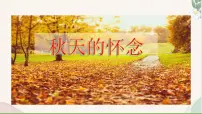 初中语文人教部编版（2024）七年级上册5 秋天的怀念/史铁生课文配套ppt课件