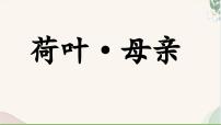 语文七年级上册第二单元7* 散文诗二首荷叶·母亲/冰心评课ppt课件