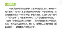 人教部编版（2024）七年级上册18 我的白鸽/陈忠实优质教学ppt课件