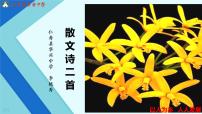 人教部编版七年级上册22 诗二首图文ppt课件