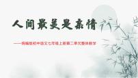 初中语文人教部编版（2024）七年级上册5 秋天的怀念/史铁生获奖教学ppt课件