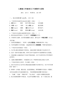 2024年春辽宁沈阳市苏家屯区人教版八年级语文(下册期中)试卷及答案