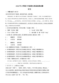 湖南省娄底市新化县2023-2024学年八年级下学期期末语文试题（原卷版+解析版）