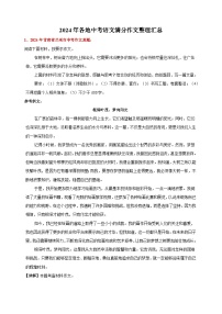 2024年各地中考语文满分作文整理汇总练习