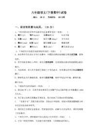 2024年春辽宁省南票区八年级语文(下册期中)试卷(带答案)