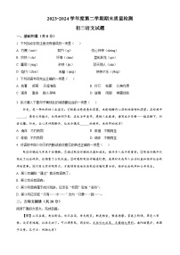 山东省济宁市任城区2023-2024学年七年级下学期期末语文试题（原卷版+解析版）