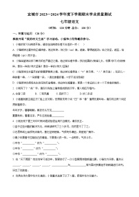 湖北省襄阳市宜城市2023-2024学年七年级下学期期末语文试题（原卷版）
