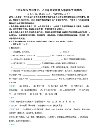 广东省揭阳市普宁市2023-2024学年八年级下学期期末语文试题（解析版）