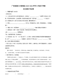 广东省湛江市徐闻县2023-2024学年八年级下学期期末语文试题（原卷版+解析版）