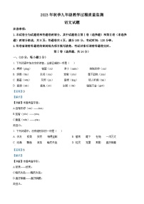 四川省绵阳市江油市2023-2024学年九年级上学期期中语文试题（解析版）