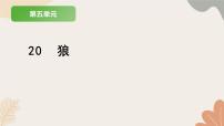人教部编版（2024）七年级上册（2024）20 狼/蒲松龄习题ppt课件