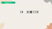 初中语文人教部编版（2024）七年级上册（2024）19 大雁归来/利奥波德习题课件ppt