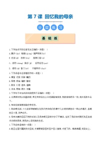 人教部编版（2024）八年级上册回忆我的母亲同步达标检测题