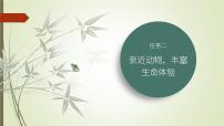 人教部编版（2024）七年级上册（2024）任务二 亲近动物，丰富生命体验课文内容ppt课件