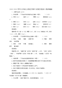 2020-2021学年七年级上册语文期中试卷及答案B卷部编版