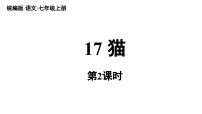 语文七年级上册（2024）17 猫/郑振铎教学ppt课件