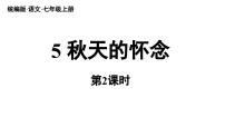 人教部编版（2024）七年级上册（2024）5 秋天的怀念/史铁生教学课件ppt