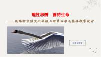 初中语文人教部编版（2024）七年级上册（2024）第五单元完整版教学课件ppt