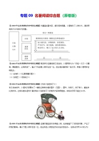 专题09 名著阅读综合题-备战2025年中考语文专项精练（山东青岛专用）