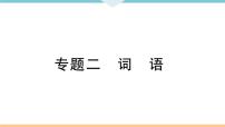 初中人教版九年级下册语文中考专题复习PPT2 专题二