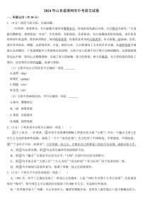 2024年山东省中考语文试卷十三套合卷附参考答案