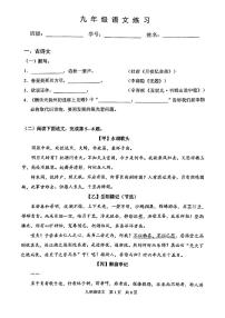 上海市浦东新区2024-2025学年九年级上学期第一次月考语文试题