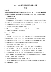 河南省郑州市二七区二中学区2022-2023学年七年级下学期期中语文试题