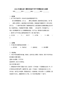 2024年湖北省十堰市实验中学中考模拟语文试题