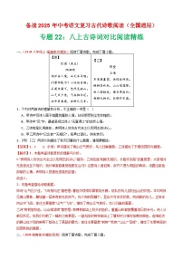 专题22：八上古诗词对比阅读精练-2025年中考语文复习 古代诗歌阅读（全国通用）