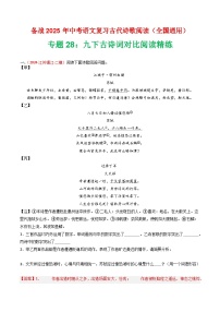 专题28：九下古诗词对比阅读精练-2025年中考语文复习 古代诗歌阅读（全国通用）