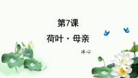 语文人教部编版（2024）荷叶·母亲/冰心教案配套ppt课件