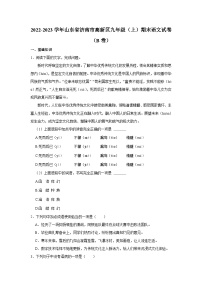 2022-2023学年山东省济南市高新区九年级（上）期末语文试卷（b卷）