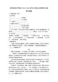 江苏省徐州市沛县2023-2024学年七年级上学期期中考试语文试题（解析版）