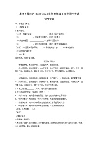 上海市普陀区2023-2024学年七年级下学期期中考试语文试卷(解析版)