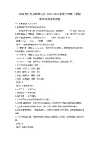 河南省驻马店市确山县2023-2024学年七年级下学期期中考试语文试卷(解析版)