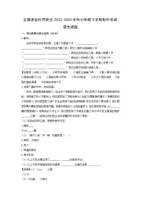 安徽省宿州市萧县2022-2023学年七年级下学期期中考试语文试卷(解析版)