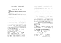 山东省东营市广饶县乐安中学2024-2025学年八年级上学期11月期中语文试题